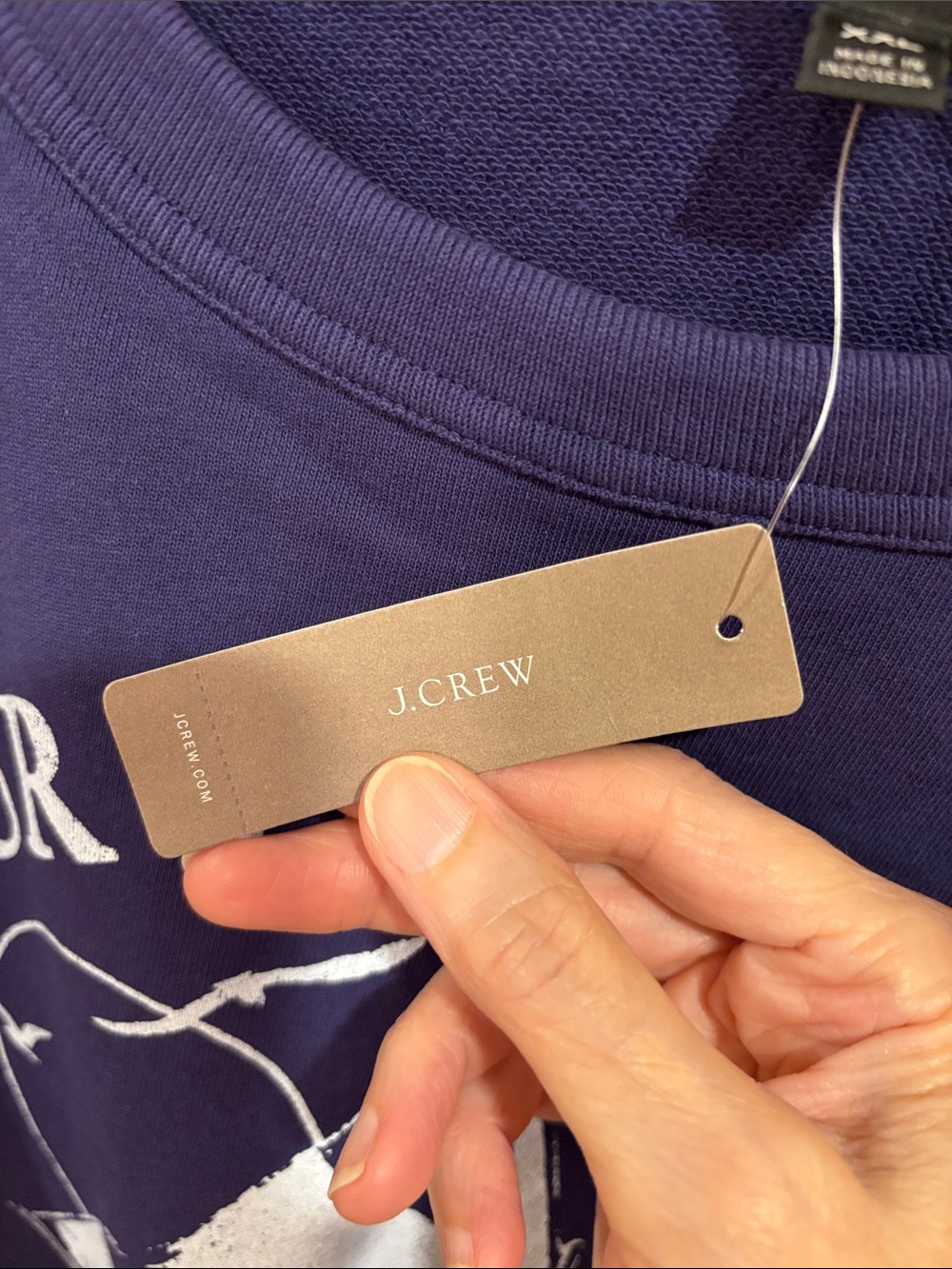 J Crew Sweatshirt - Picture 3 of 7